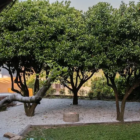 Babhouse Jardim Laranjeiras Vakantiehuis Nagoselo do Douro