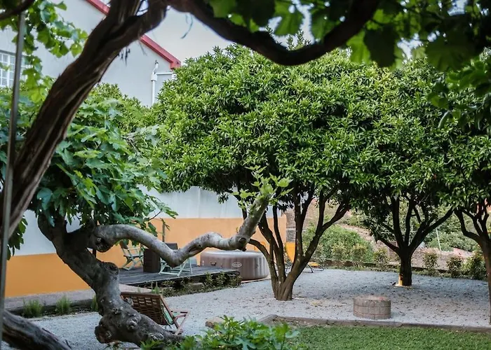 Babhouse Jardim Laranjeiras Holiday home Nagoselo do Douro