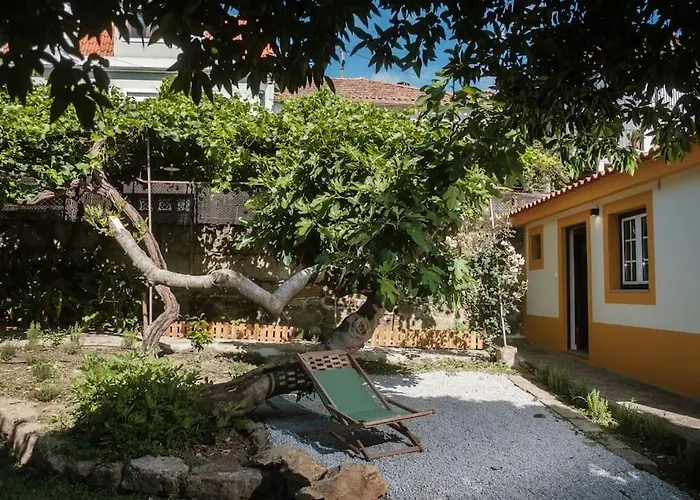 Babhouse Jardim Laranjeiras *